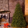 National Tree Company 10 ft. Jersey Fraser Fir Medium Tree with Dual Color® LED Lights - 2 of 4