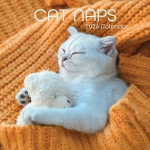 2026 Square Wall Calendar, Cat Portraits, 16-Month Black and White Photos with 180 Reminder Stickers (12x12 In) - 1 of 4