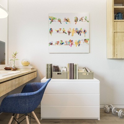 Colorful Acrylic Birds on Wire Canvas Artwork, 36x36 inches