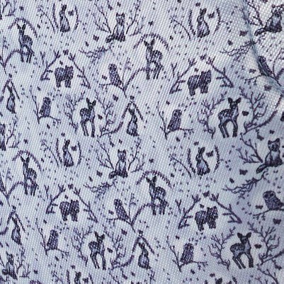 Whimsy Toile