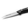 Arcos 3" Maitre Paring Knife: Stainless Steel Blade, Polypropylene Handle, Hand Wash, 10-Year Warranty - 3 of 4