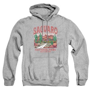 Men's Saguaro National Park Cactus Landscape Pull-Over Hoodie - 1 of 4