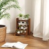 HOMLUX 4 Tier Portable Ladder Shelf Multipurpose Wooden Plant Flower Display Stand Storage Rack - 2 of 4