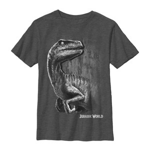 Boy's Jurassic World Sly Velociraptor T-Shirt - 1 of 4