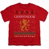 Boys' Short Sleeve Harry Potter Gryffindor Ugly Christmas T-Shirt - 2 of 4