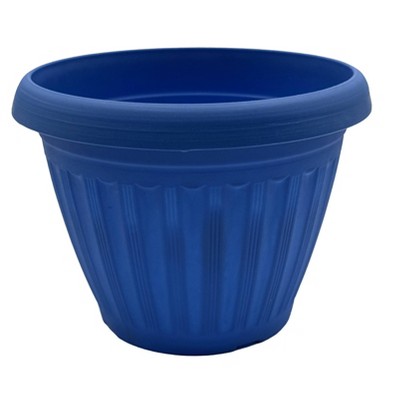 Buzzy Seeds 5.5" Plastic Grow Pot Coleus