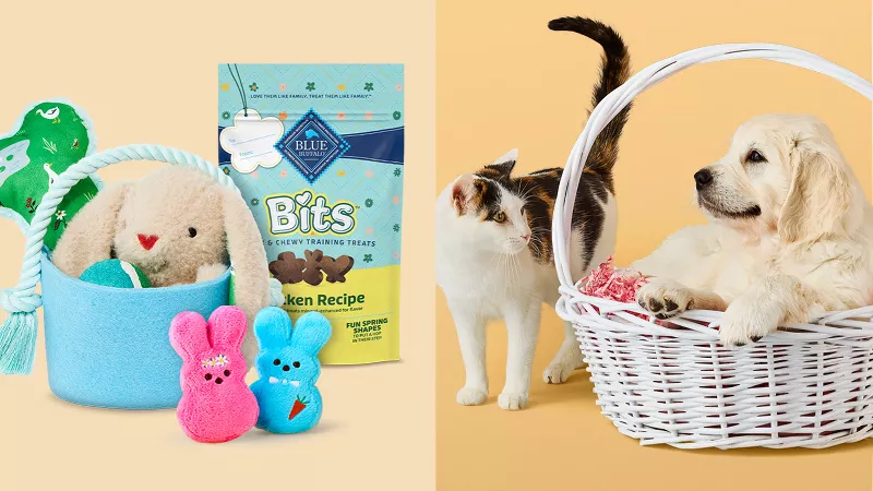 Target dog toys discount