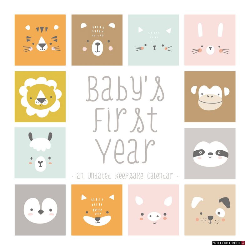 Willow Creek Press Undated Wall Calendar 12&#34;x12&#34; Baby&#39;s First Year, 1 of 4