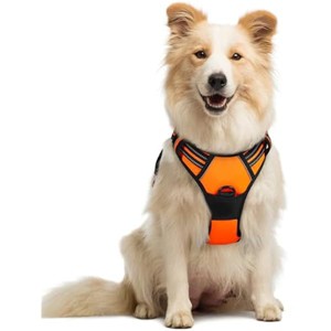 rabbitgoo- Dog Harness No Pull with 2 Leash Clips, Adjustable Soft Padded, Reflective Oxford No Choke Pet Vest with  Dogs,Orange, M - 1 of 1