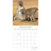 The Gifted Stationery 2025 Square Wall Calendar, Monkeys in Natural Habitat, 16-Month Animals Theme with 180 Reminder Stickers (12 x 12 In) - 3 of 4