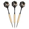 Fat Cat Warrior Steel Tip 18 Gram, Aluminum Dart Shaft Black, V-100 Flights Clear - 2 of 4