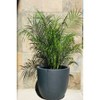 17" Kante Lightweight Concrete Modern Seamless Outdoor Planter Charcoal - Rosemead Home & Garden, Inc. - 2 of 4