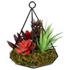 Northlight 9" Succulent Artificial Arrangement in Wire Terrarium - Green/Brown - 3 of 4