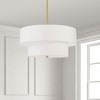 Dainolite Everly 4 - Light Pendant in  Aged Brass - 3 of 4