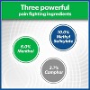 Salonpas Large Size Pain Relieving Patch - 8 Hour Pain Relief - 6ct - 4 of 4