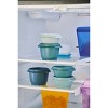 Tupperware Heritage 5pk (3x 1.25c and 2x 2.5c) Plastic Food Storage  Container Set Green