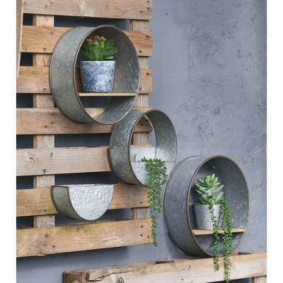 Set of 5 Gray Iron Round Wall Planters with Wood Shelves
