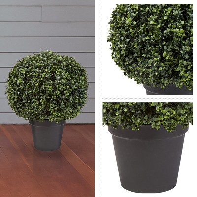 Green 21-Inch Boxwood Topiary Ball in Black Pot
