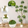 Scheffler Tree Artificial Umbrella 210 cm, Artificial Plants Large Like Real with Trunk Made of Natural Wood - 4 of 4