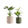 happimess Flo MidCentury Modern Indoor Ripple 3D Printed Planters with Drainage - 4 of 4
