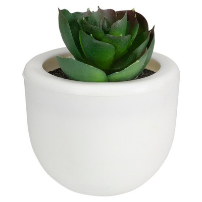 Northlight 2.75" Succulent Artificial Potted Plant Table Top Decoration - Green/White