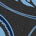 north carolina tar heels