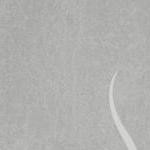 grey-2