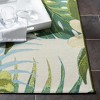 Barbados 500 BAR516 Power Loomed Rug - Safavieh - 3 of 3