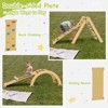 Huxxion 3 in 1 Pikler Triangle Set, Wooden Jungle Gym, Climbing Toys for Toddlers 1-3 Inside (Round-Rainbow) - 4 of 4