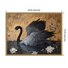 Amanti Art Dark Swans II by Jose Perez Framed Canvas Wall Art - 4 of 4
