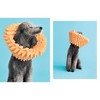 Cone of Shame - by  Winnie Au (Hardcover) - image 4 of 4