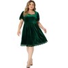 Agnes Orinda Women's Plus Size Velvet Lace Trim Short Sleeve Party A Line Dresses - 2 of 4