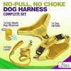 Gm Harness Leash Poo Bag Holder Set - 3 of 4