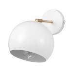 Molly 1-Light Matte White Plug-In or Hardwire Wall Sconce with Matte Brass Accent Arm - Globe Electric