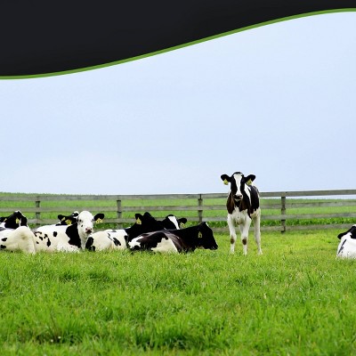 Breyers Carb Smart Vanilla Frozen Dairy Dessert - 48oz, image 4 of 8 slides