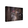 Trademark Fine Art Fabien BRAVIN  Le point de suspension Canvas Wall Art - 4 of 4