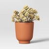 Terracotta Outdoor Planter - Threshold™ - 3 of 4