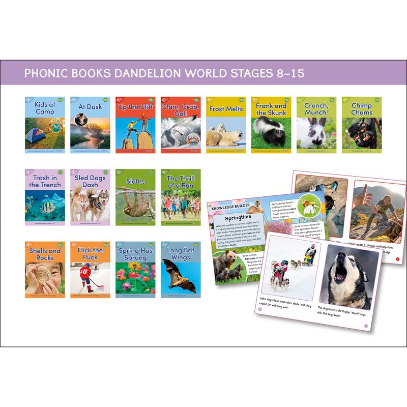 Phonic Books Dandelion World Stages 8-15 (Words with Four Sounds CVCC) - (Phonic Books Beginner Decodable) (Mixed Media Product), 1 of 2