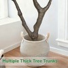 Vitalismo 6/7ft Artificial Olive Tree with Natural Trunk Silk Lifelike Leaves Faux Realistic Fruit Tall Potted Fake Tree for Indoor/Outdoor Home Decor - 4 of 4