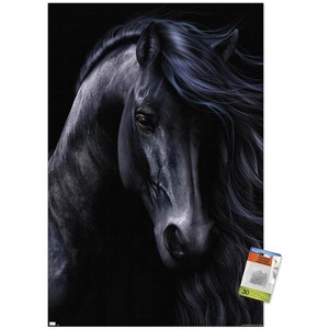 Trends International Laurie Prindle - The Black Unframed Wall Poster Prints - 1 of 4