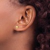 Black Bow Jewelry 5mm Polished Ball Friction Back Stud Earrings in 14k Yellow Gold - 3 of 4