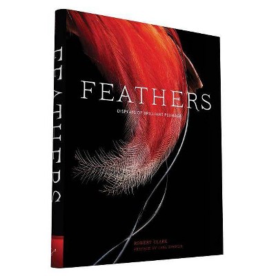 Feathers - by  Robert Clark (Hardcover)