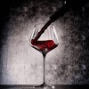 Stolzle Lausitz Set of 6 24oz Cocoon Wine Glasses Burgundy - 3 of 4