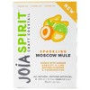 Joia Spirit Sparkling Moscow Mule Cocktail - 4pk/355ml Cans - 3 of 3