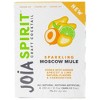 Joia Spirit Sparkling Moscow Mule Cocktail - 4pk/12 fl oz Cans - image 3 of 3