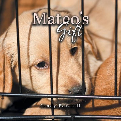 Mateo's Gift - by  Cindy Porcelli (Paperback)