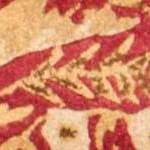 light gold/red