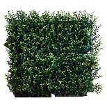 20" x 1.5" 4pc Artificial Ficus Wall Panel Set - Greensmart Decor