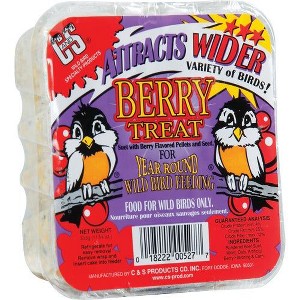 C&S 11.75 Oz. Berry Treat Suet - 1 of 1