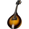 Luna Trinity A-Style Mandolin - 3 of 4
